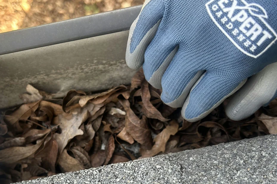 Queens Gutter Cleaning