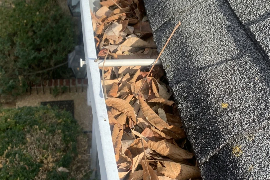 Queens Gutter Cleaning