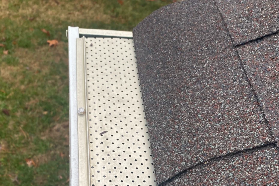 Queens Gutter Cleaning